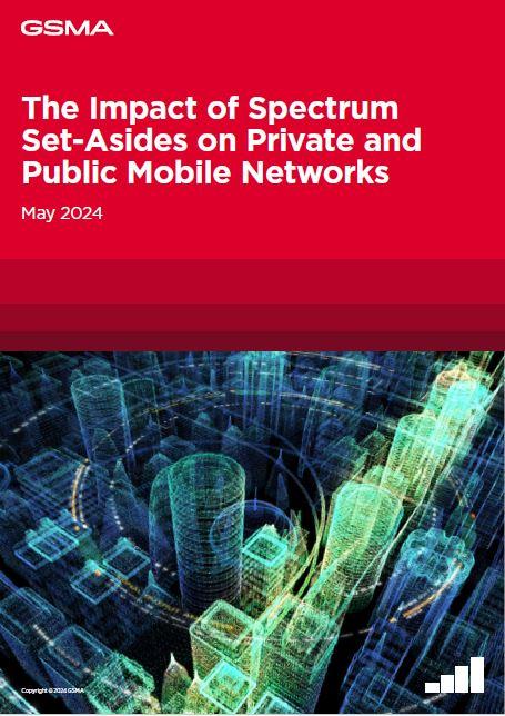 The Impact of Spectrum Set-Asides on Private and Public Mobile Networks