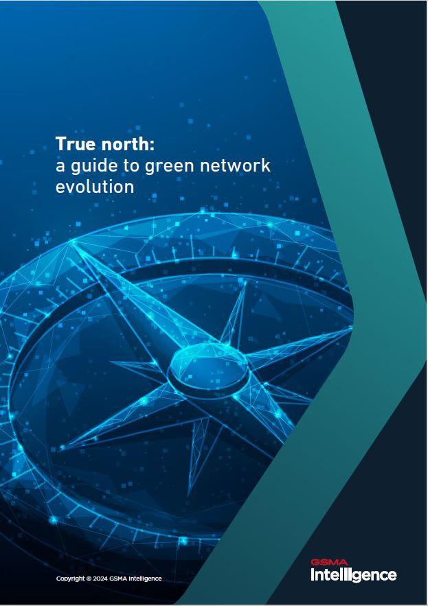 True north: a guide to green network evolution